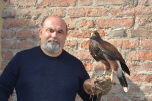 Silvano Nuvolone con un falco